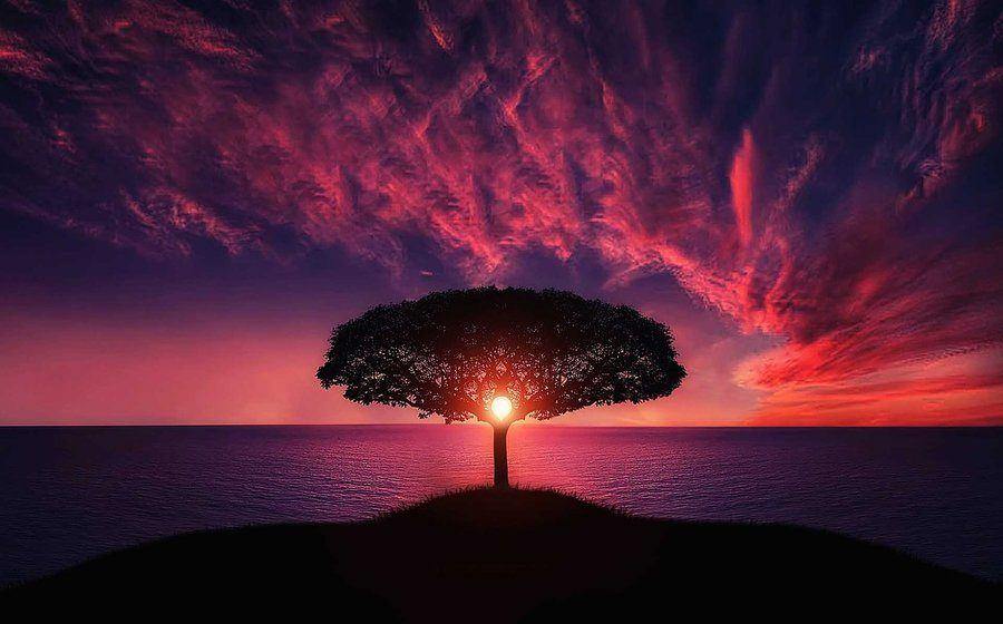Limiting beliefs