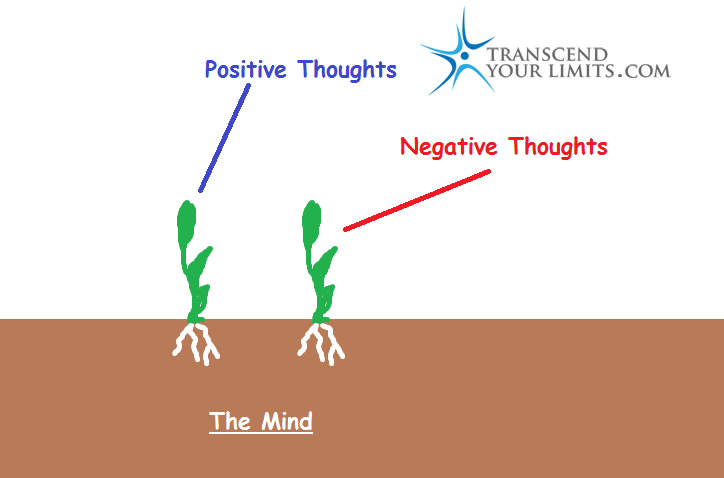 The mind is like a bit of land it will return what you plant,Why should you meditate,reasons to meditate,control your mind,the subconscious mind,meditation explained